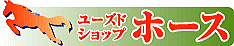 ユーズドショップホース